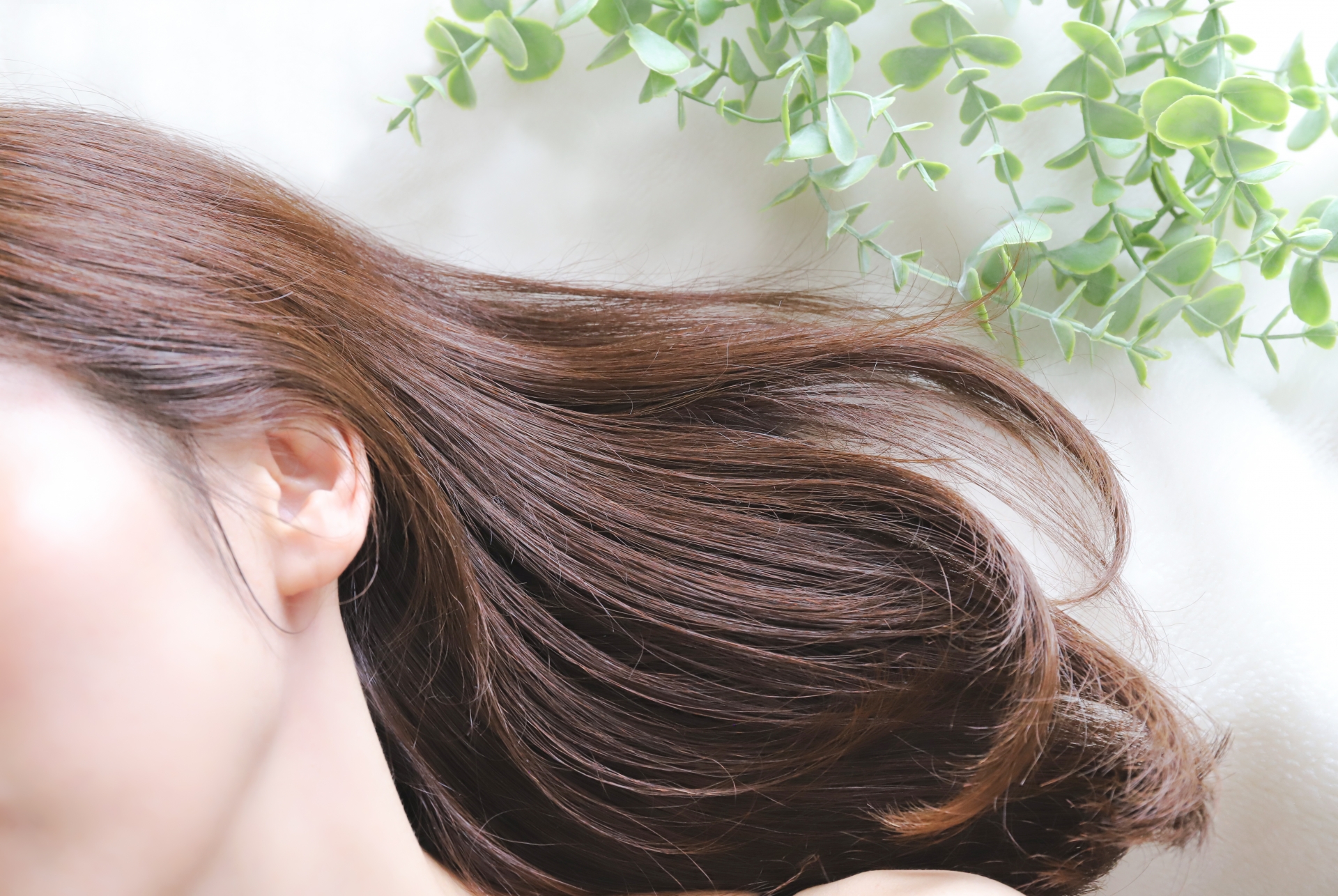 加温・定着工程（内部補修）